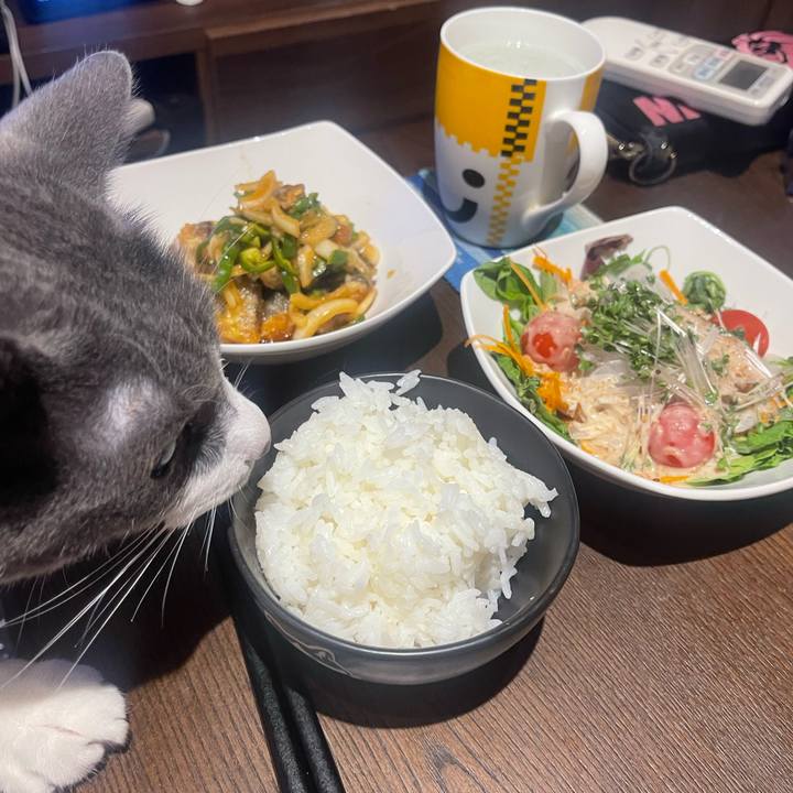 201e85ba 176a 44e5 ab1c 7d86f8924c4a 1719315471483