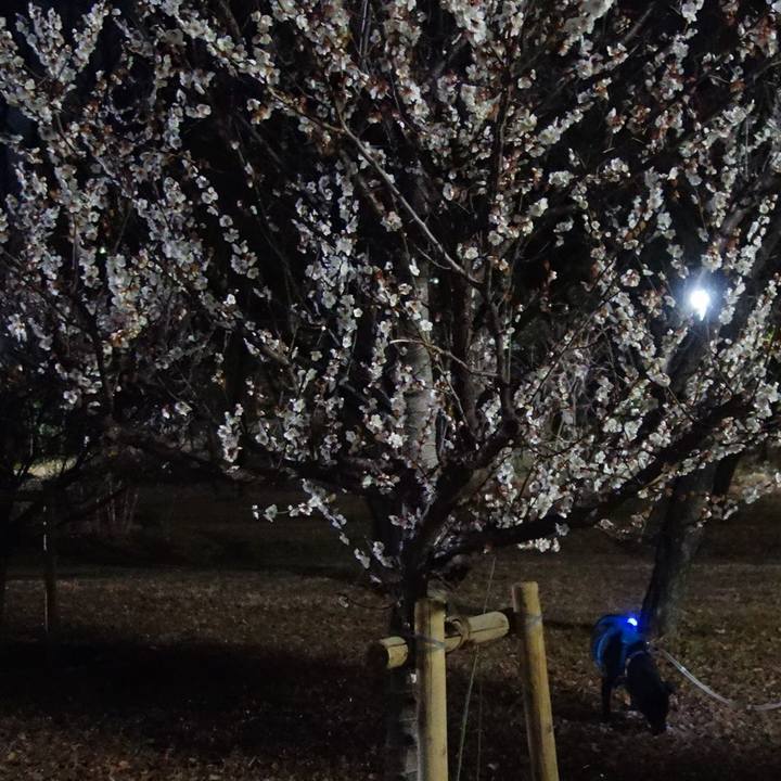 201edaae d252 43e2 babb 9b9be0c5d7aa 1678187985009