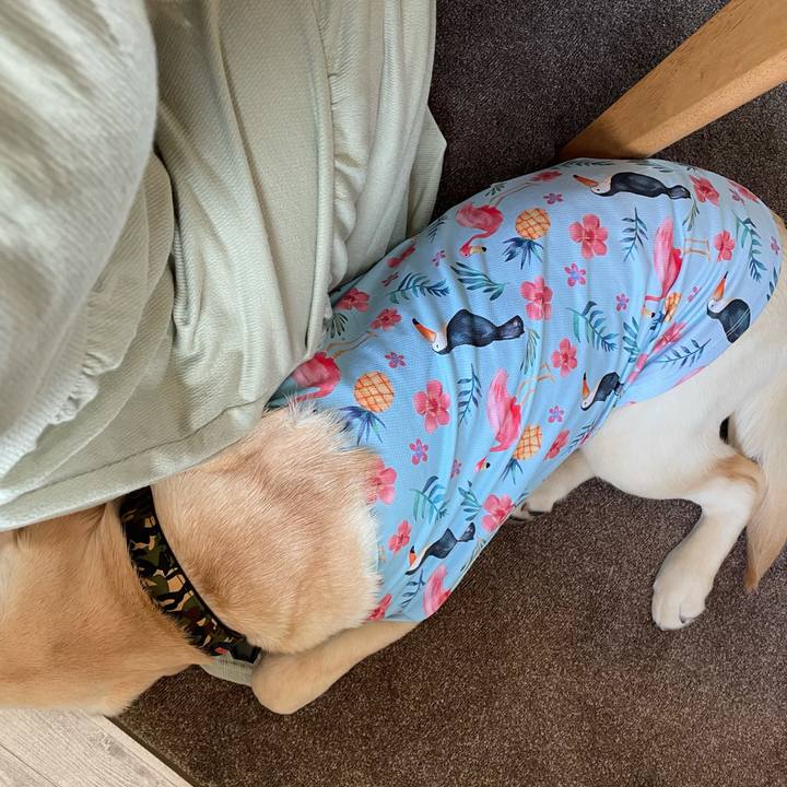 201f0d1e 27db 46ef a04f 4d59f782b8b8 1621747402391