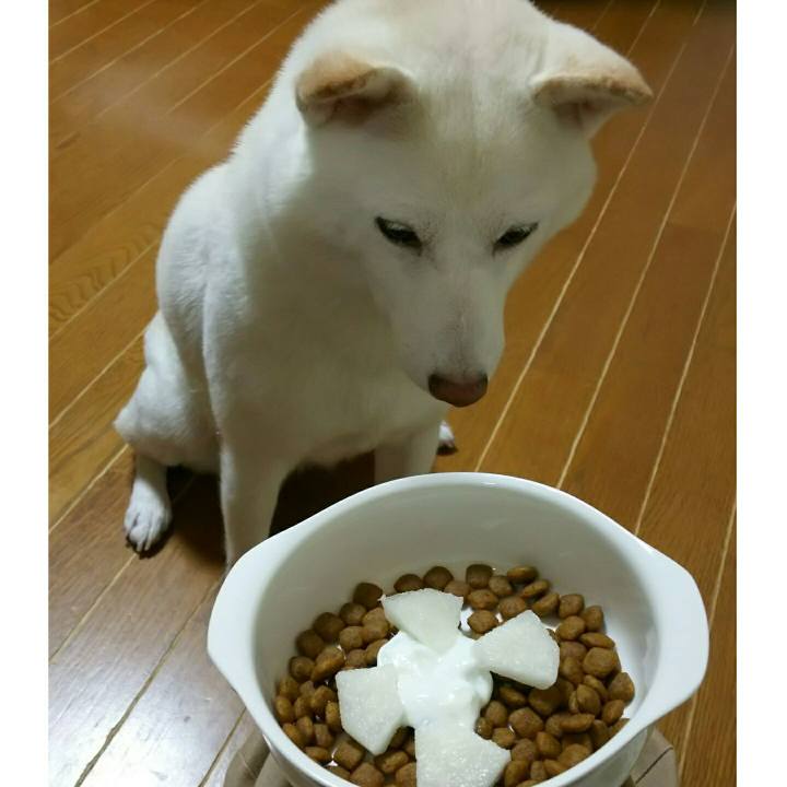 201f4d48 8087 4362 9837 1ab11eb66b71 1567334462887