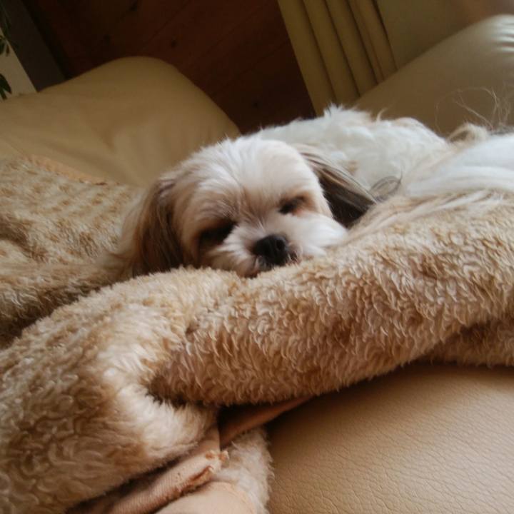 201fac06 3df6 4d69 b08d 4176803dbf64 1528943143601