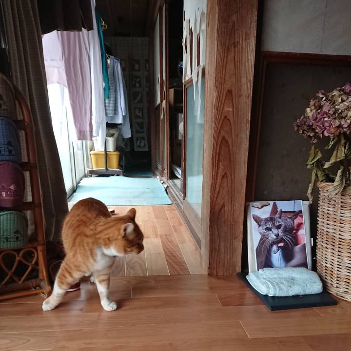 201fe2c1 e14e 4506 86a9 d4d8b3df404c 1607833347551