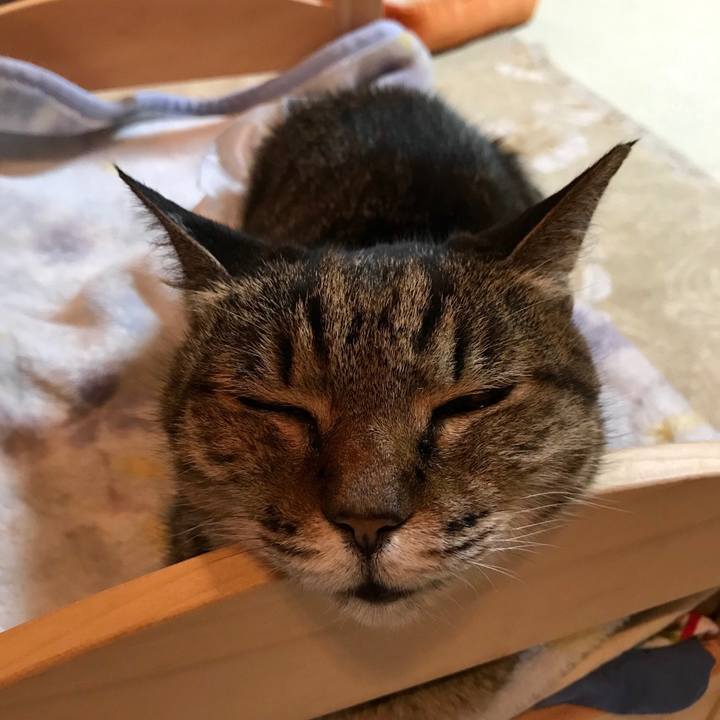 201fec83 0a3c 4082 a3eb 3e404db417c1 1555070171777