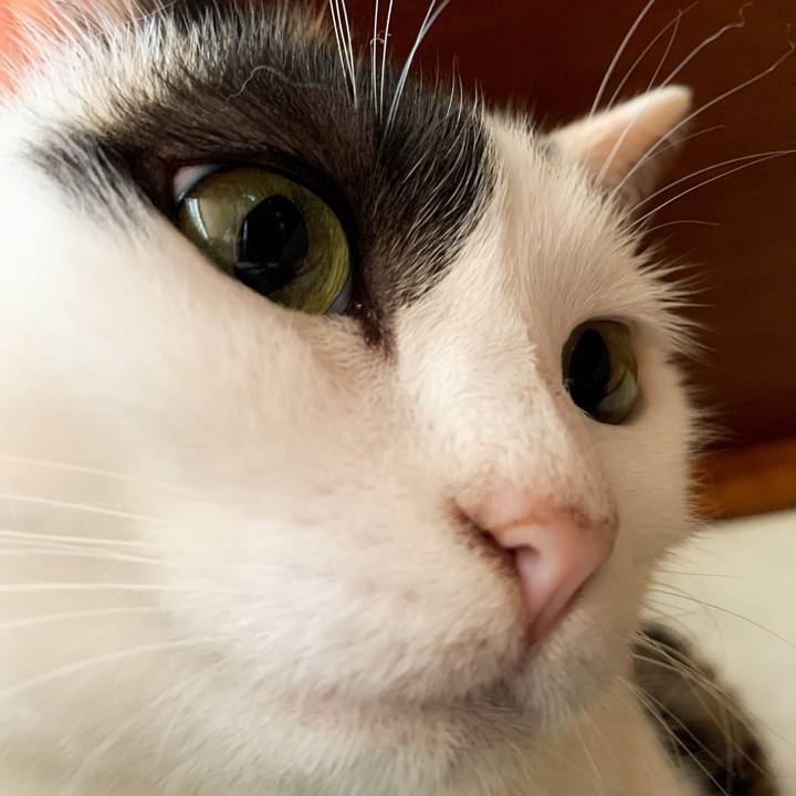 202053f6 0773 4b09 89a7 7b9232e595f3 1593483991615