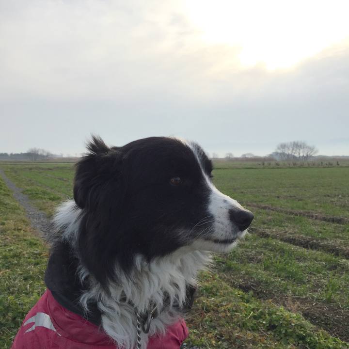 20206999 a208 47ab b1bb 57f605e0f9b4 1546733702864