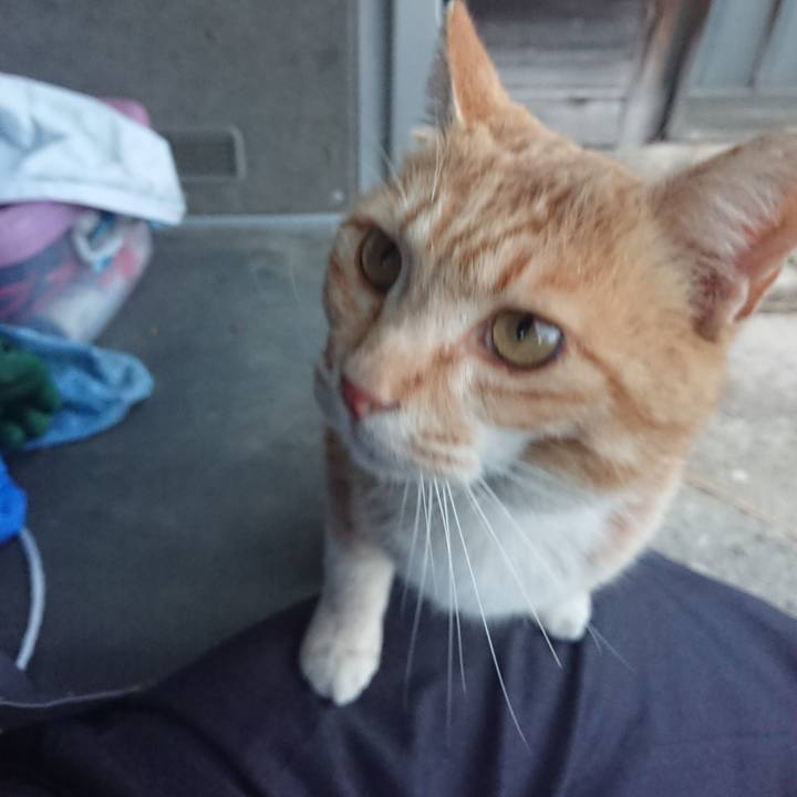 20207ea1 05e3 452e 95dd 1657f53a9e35 1587115764123