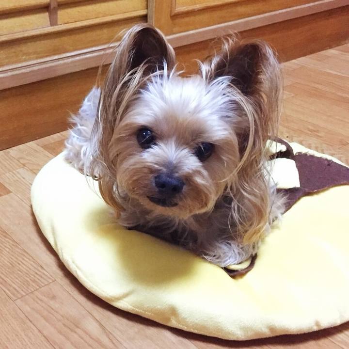 20209713 4e00 4545 8480 dbfb5ea6b51e 1530445640965