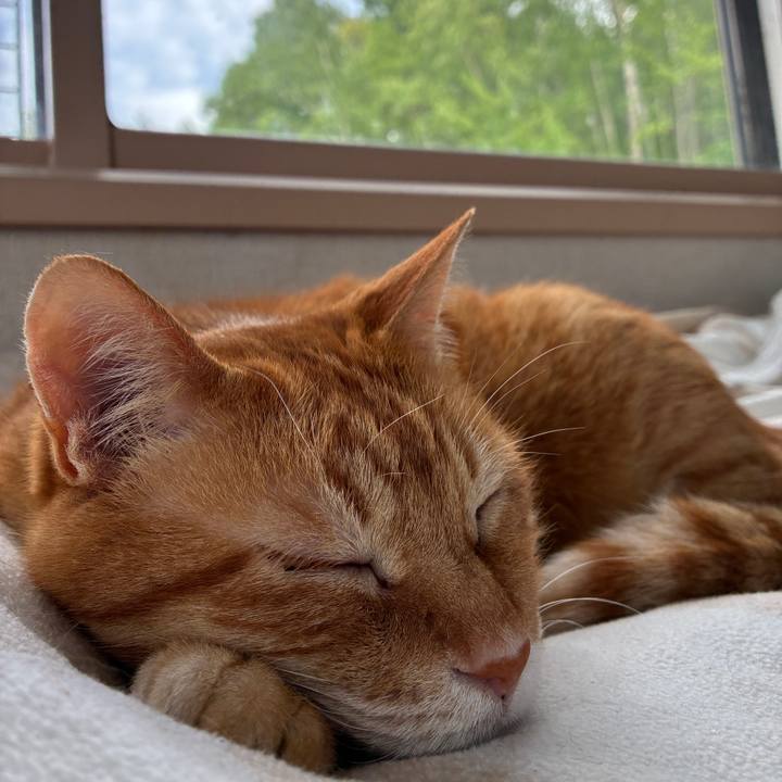 2020d72c 500b 4ac6 858c e325ff02e3ec 1748066811436