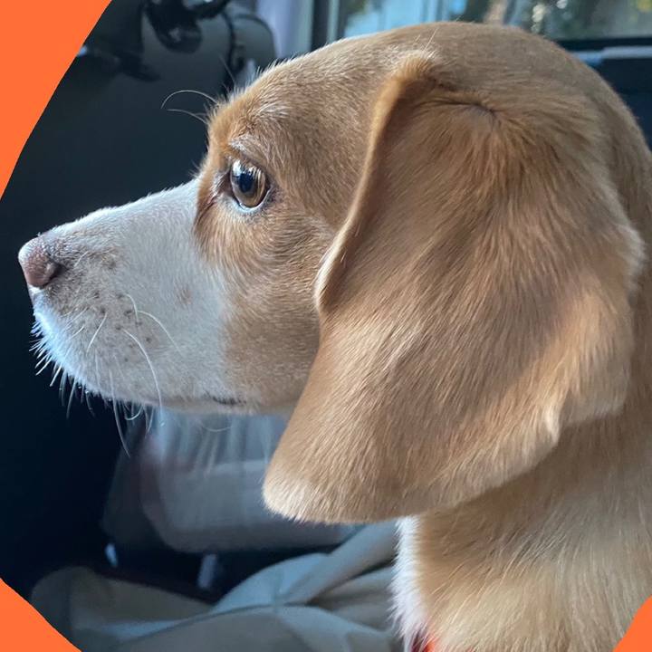 2020e220 7e0f 4870 81b2 fe384223d4ad 1606639659230