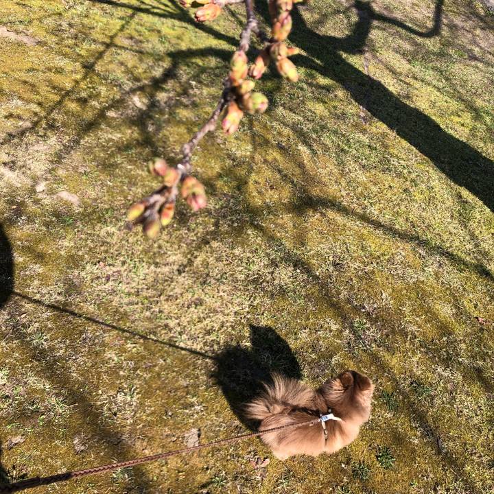 2021099c 6798 4ae8 b721 3f72cfaa5b01 1618202663112