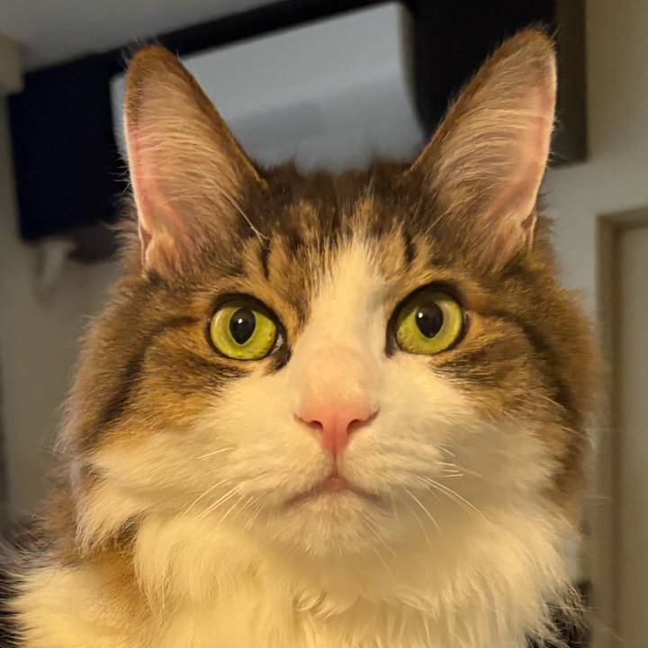 20210d68 8c42 4f13 abe3 51afef745df0 1767132909340