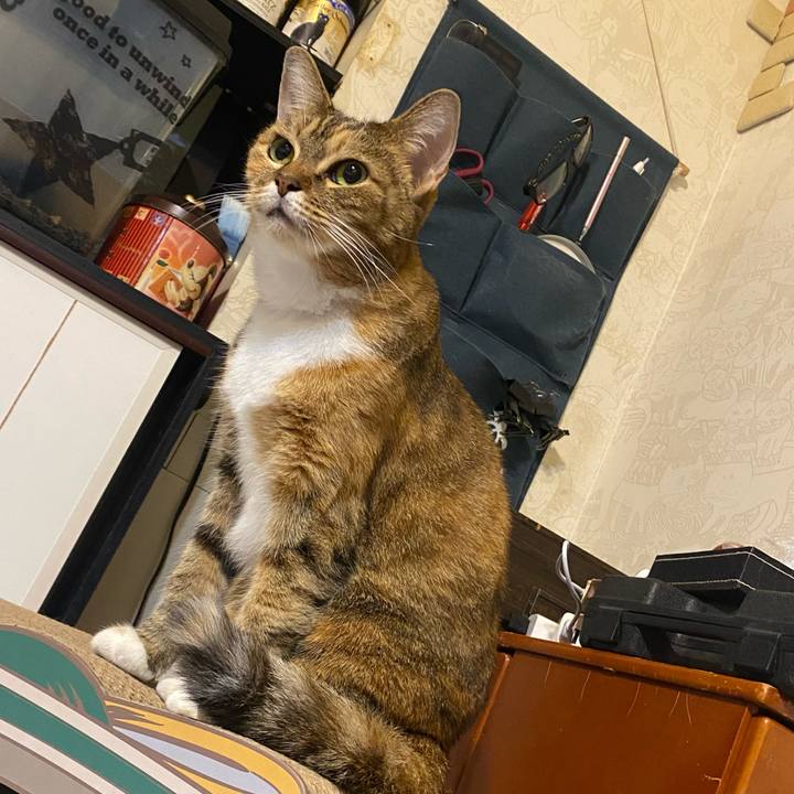 20211ea0 e2ff 4bee 9fba 877c0a29f85f 1632155608163