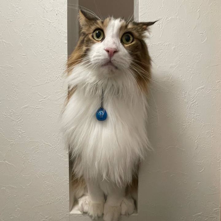 20212e83 ae6b 429b 9744 15c5a297d8cf 1704483481823