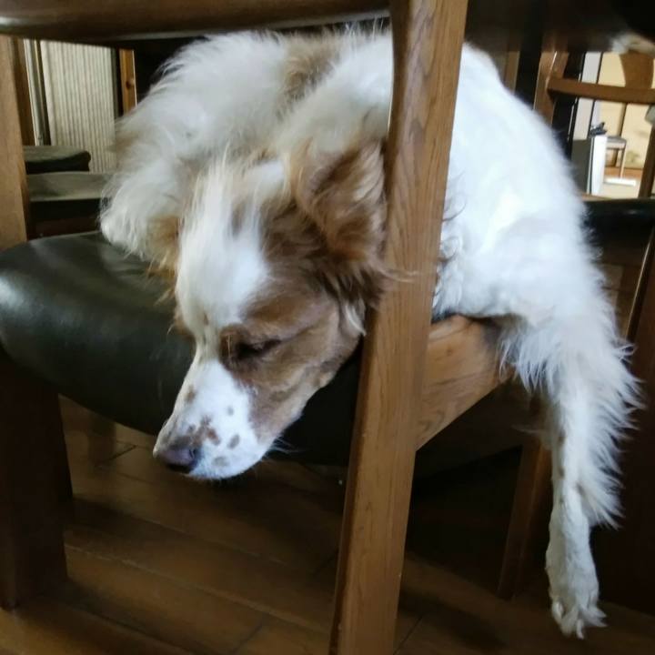 20214584 c358 4a66 943f a470b7412025 1554361652732