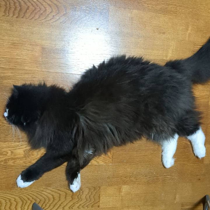 20214a35 acb1 4ea7 b45b 30096771a9e3 1722074543761