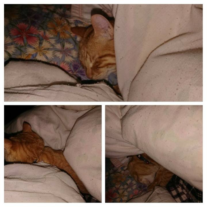 20216e95 eb94 4050 98bb 9ad133761719 1640555566830