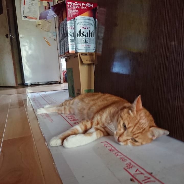 2021776b 10fd 498a aea1 ada70c9ad347 1597047402106