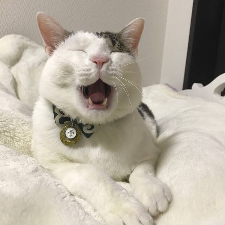 2021b0fe 7b57 4a40 b0a8 8b18ee08a465 1513429151169