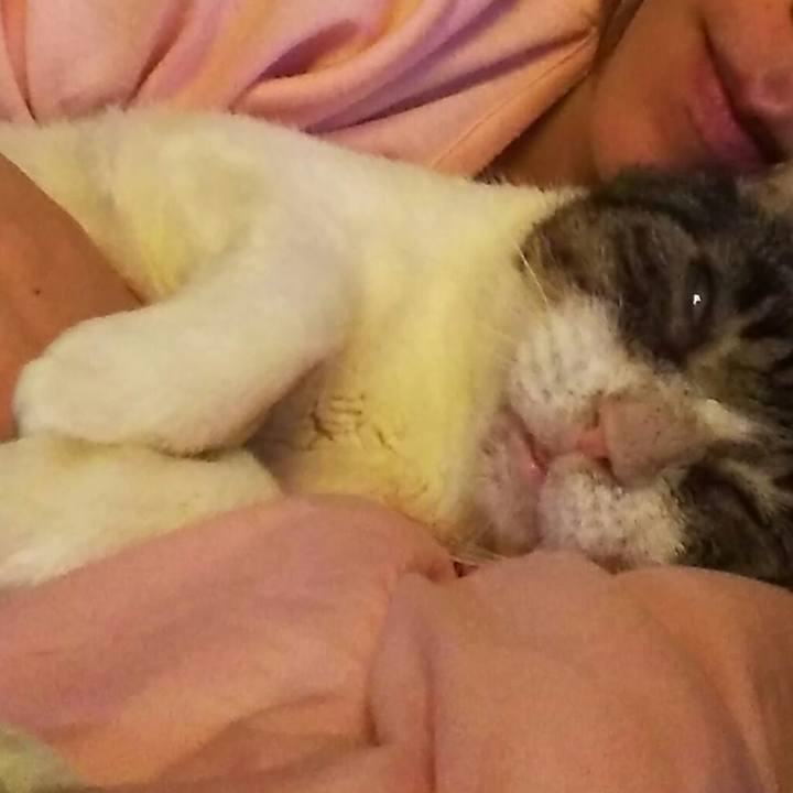 2021e9d4 df79 48d1 898c 2370fe449806 1540635818701