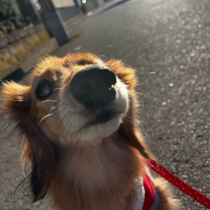 2021eb15 a35d 450f aa47 cabffc24adcb 1671114061953