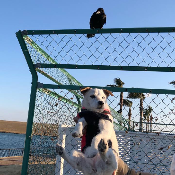 2021ed71 914e 4a02 a82e 0a445a413002 1645952857036