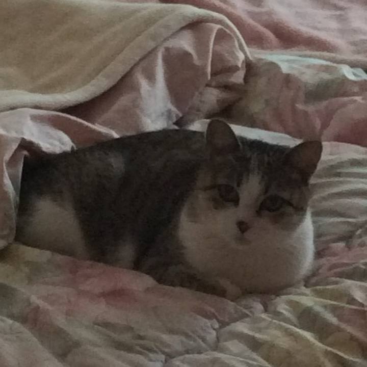 2022052a bfdc 4f0d 801d 35b9bfb68643 1764717577465