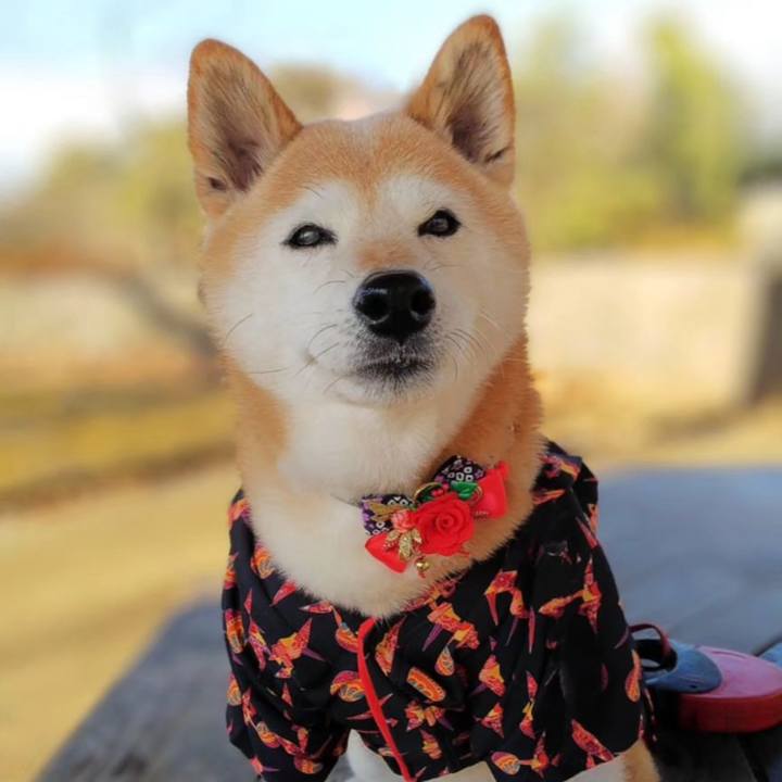 20223698 d16b 4580 8551 37c150ffbbab 1708723845061