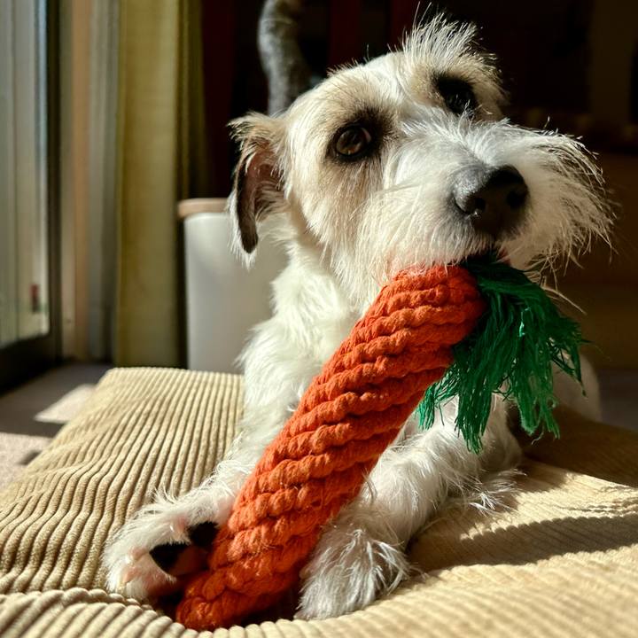 20226c0a be25 477e 97e8 b58a49a44b5d 1704463372084