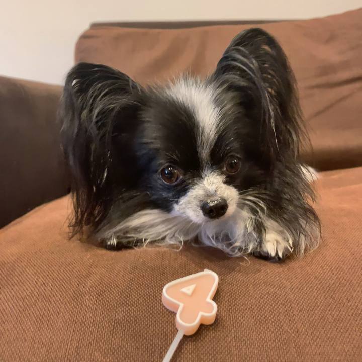 2022c7f3 1864 4a1d 890b a4e73ffaed91 1569967831000