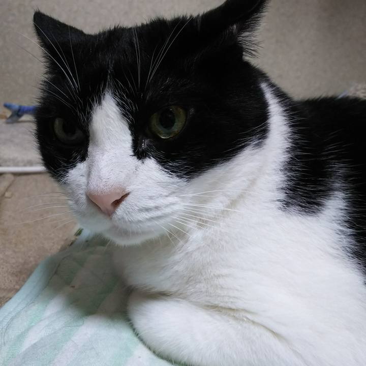 2022e15d 7040 421e a109 273410532009 1536097536714