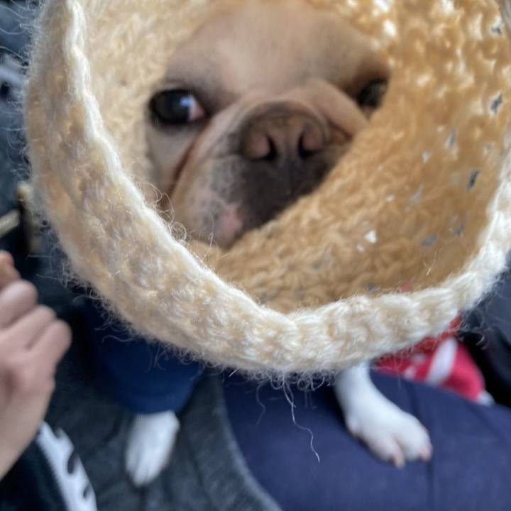 2022f207 b266 483e 98c9 35a9c80e8892 1642633725300