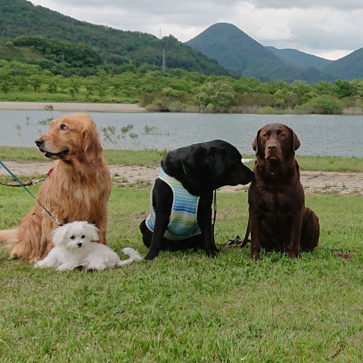 20230192 055c 415d 83f6 5bbc2c7d8f20 1560086550125