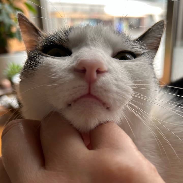 20230774 4891 413e 9ea1 c09f4046d412 1719003138821