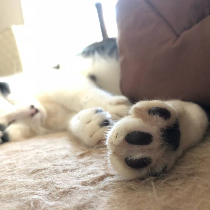 20230b6d 88c3 46ef bdf0 59dd97d8686b 1552943481778