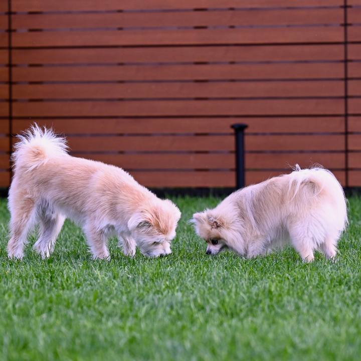 20231d5d 0d0e 4231 a76e c440adae31d2 1759570087437