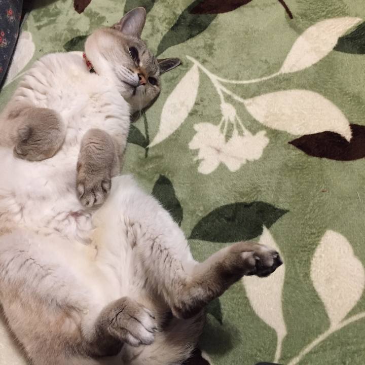 20233804 3d4f 4995 a740 e626baba3cb3 1584828617124