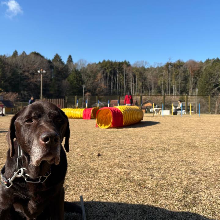 202339ad 40ba 4247 9c7b 35e546d5b94d 1765116807957