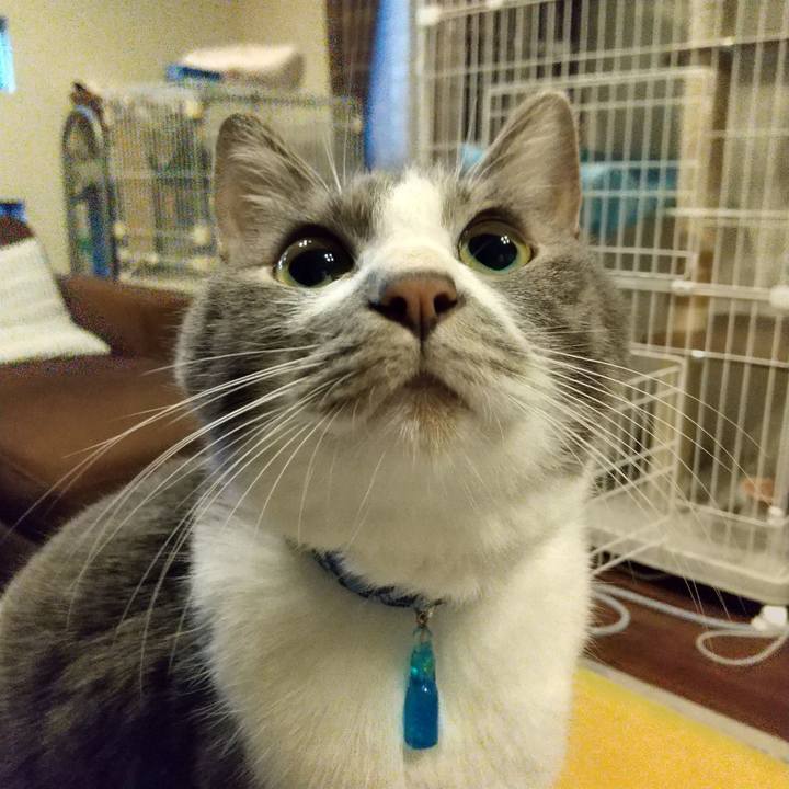 20235eff bd36 4ac2 9a81 c9b60b24c62a 1607378138547