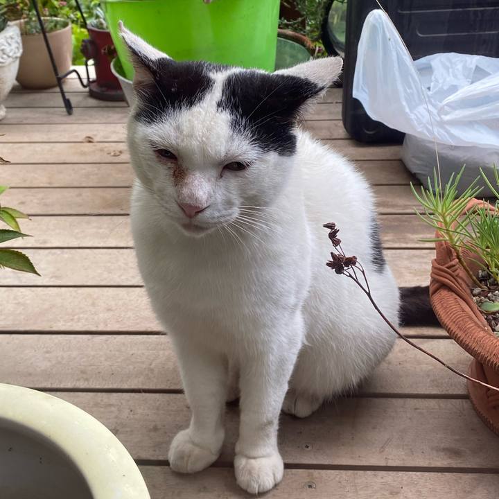 202365ed f0a8 4ef8 ba13 544b8670dec1 1627341726797