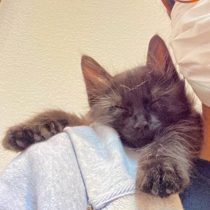 20236cc3 0d07 4ddb b340 acc363cbdbb4 1699355341644