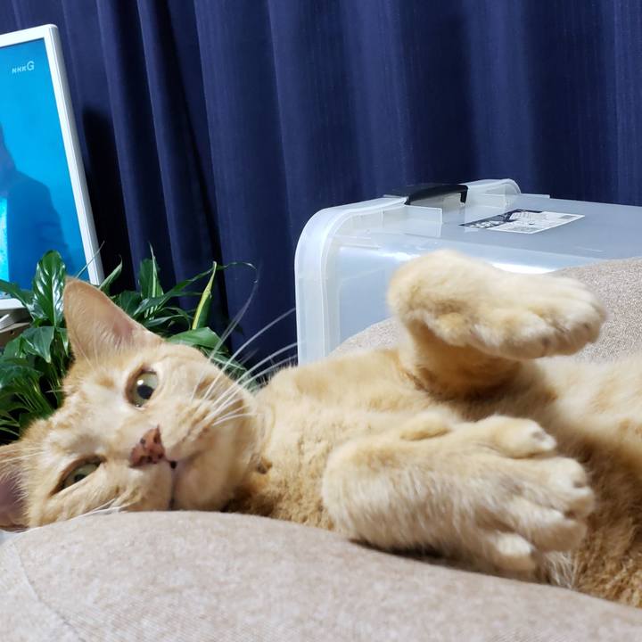 20238acd be80 4602 96d1 ded54f6addb9 1718250639068