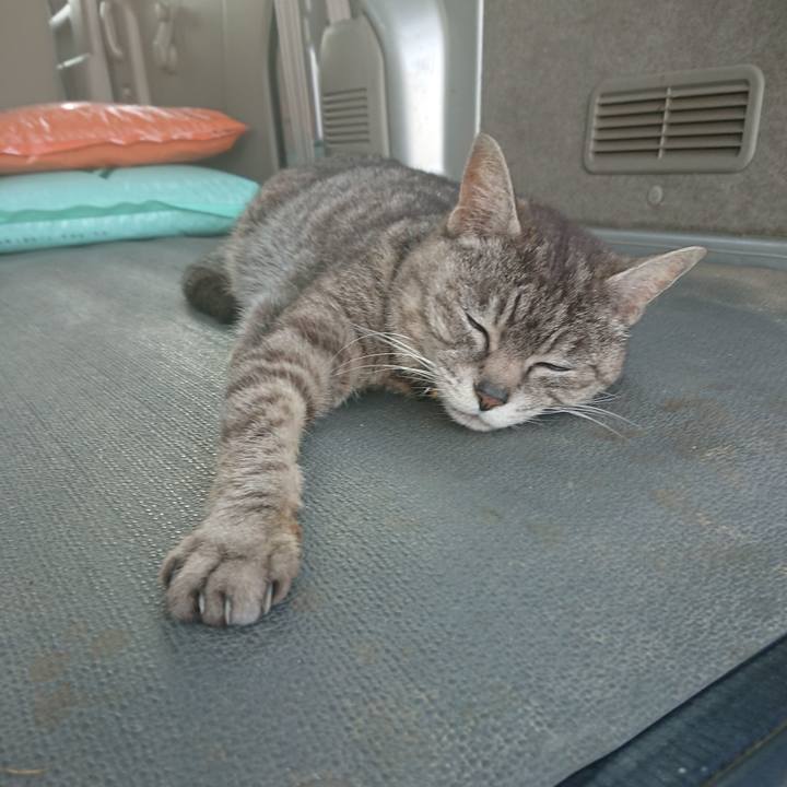 2023c787 1730 4696 b1b8 9ae409a1b078 1558789226812