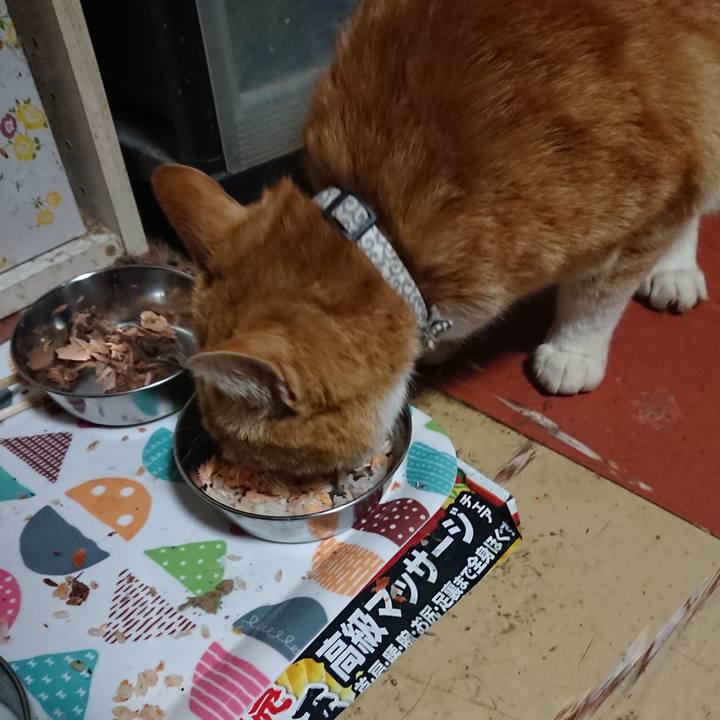 2023f494 1c5e 431e a5fd fdc66c86ce6d 1587465970648