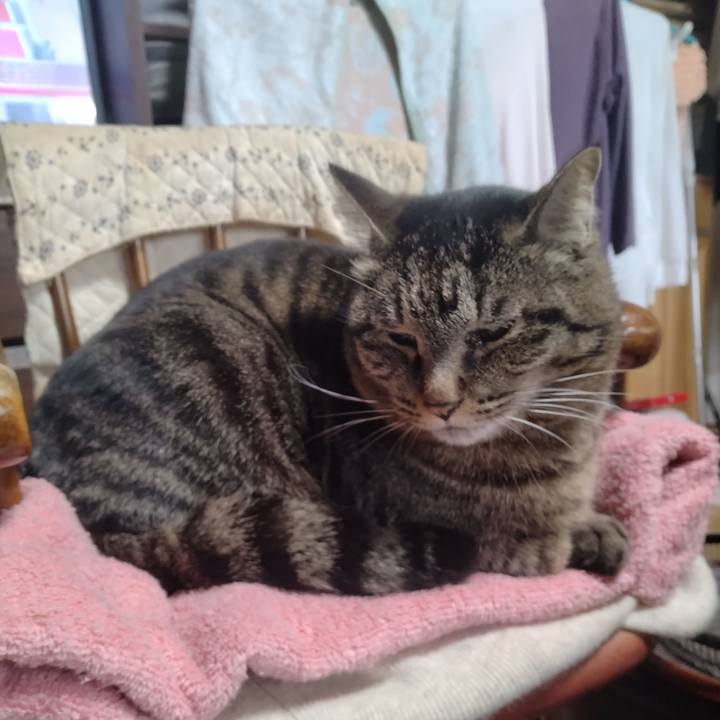 202428e8 ca55 4717 8ce1 dc02d710188e 1711617064552