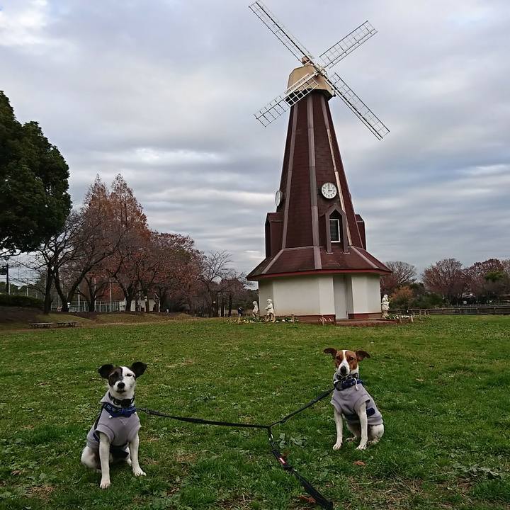 20246f14 bd92 4adf 9a8c 12fef9f12b52 1544601889439