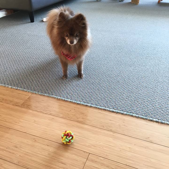 2024ce44 7ae9 4555 9dda f7507d65befc 1519030942834