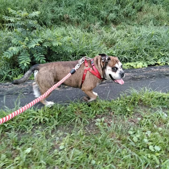 2024d89f f722 4c45 92eb dea478dfd63b 1563884791781