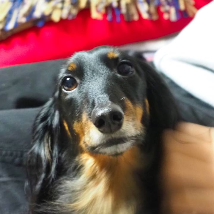 20250cfc cc7e 49dd ac7b 3d7feffd8d71 1641377871561