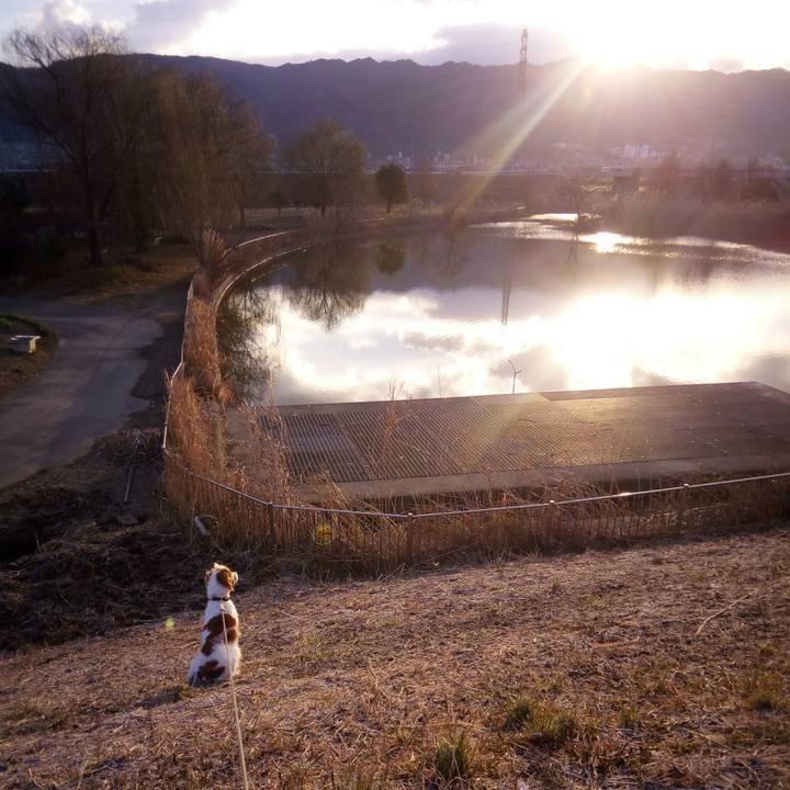 2025526e 6108 452b bcd8 702a851de8e2 1517704267750