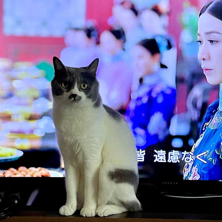 20258782 339c 4f63 bea6 261b8ccbe432 1661841709782